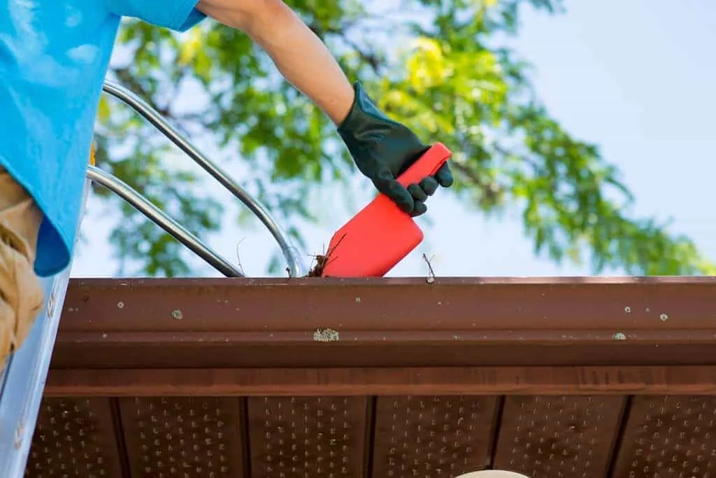 Gutter cleaning by Nate’s Window Cleaning in California. Keep your gutters clear for proper drainage.