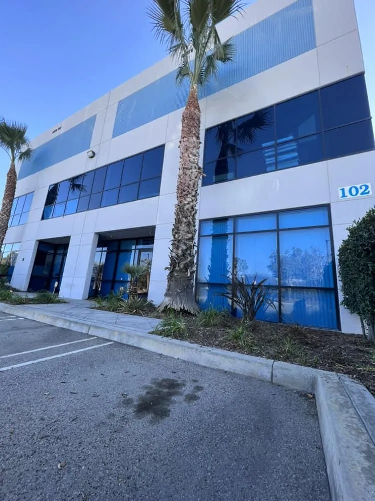 Commercial office building with clean glass windows and palm trees.