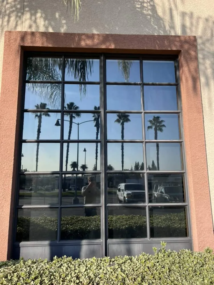 Clean glass window reflecting palm trees and parking lot.